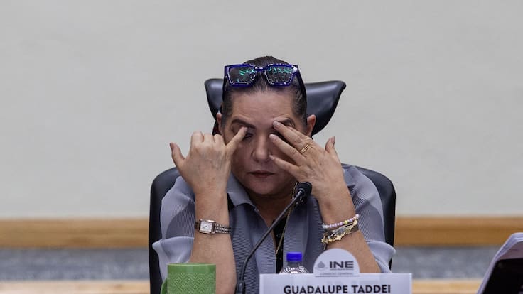 Piden a Guadalupe Taddei reconsiderar su permanencia en el INE por presuntas irregularidades