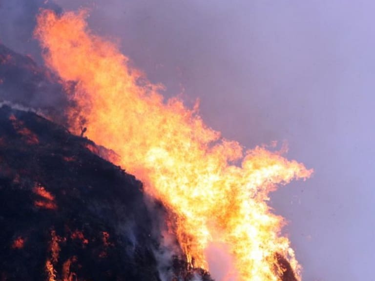 Profepa denuncia ante FGR a responsable de incendio forestal en Tepoztlán