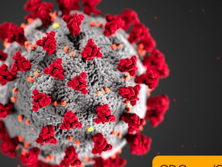 Entrevista lo que tienes que saber del coronavirus