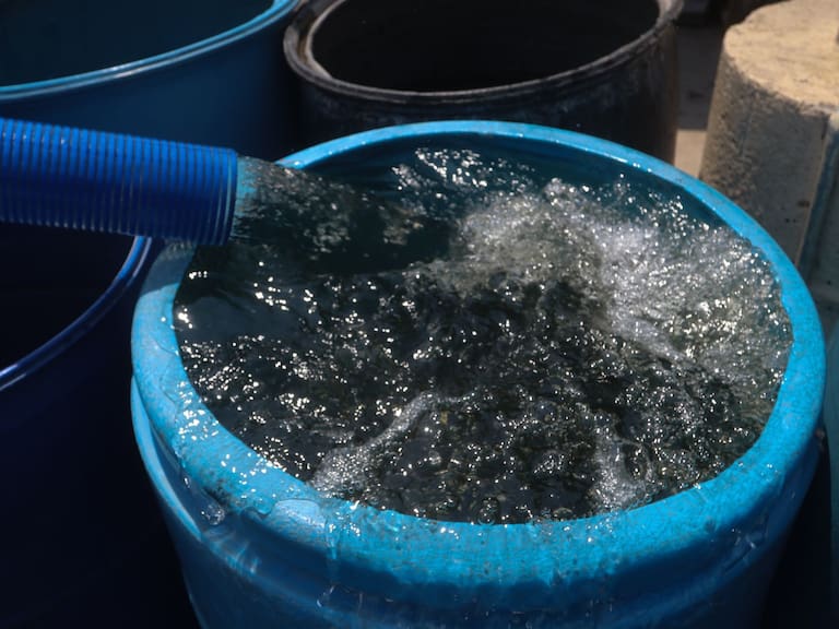 Agua del Sistema Cutzamala, representa sólo el 26% de lo que se consume en CDMX: UNAM