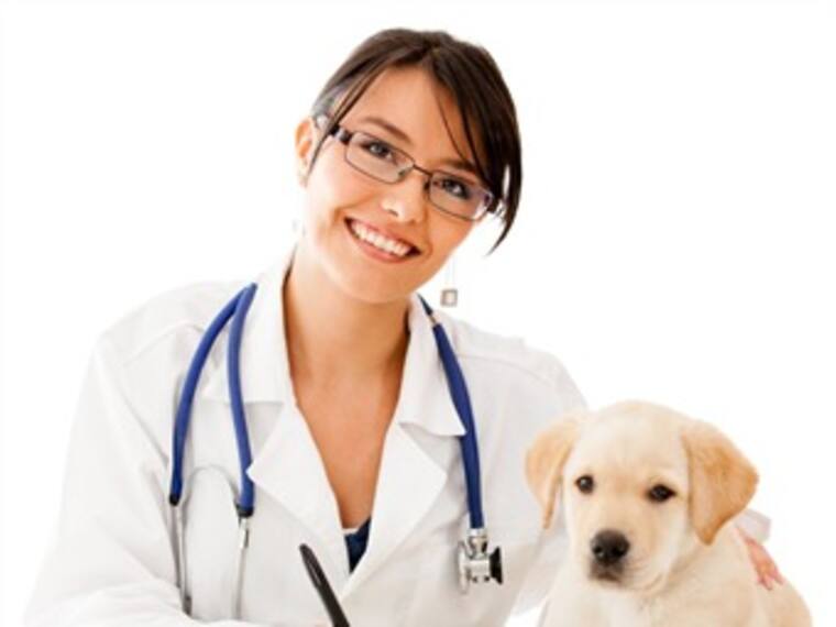 Veterinario Económico 'El Reino Animal' con Marielena Hoyo