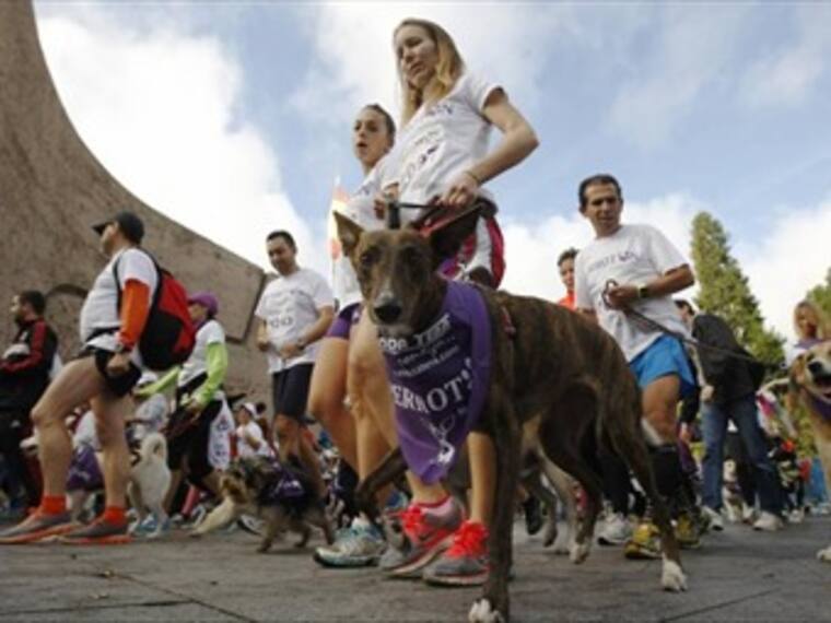 Dueños responsables.'El reino animal' con Marielena Hoyo