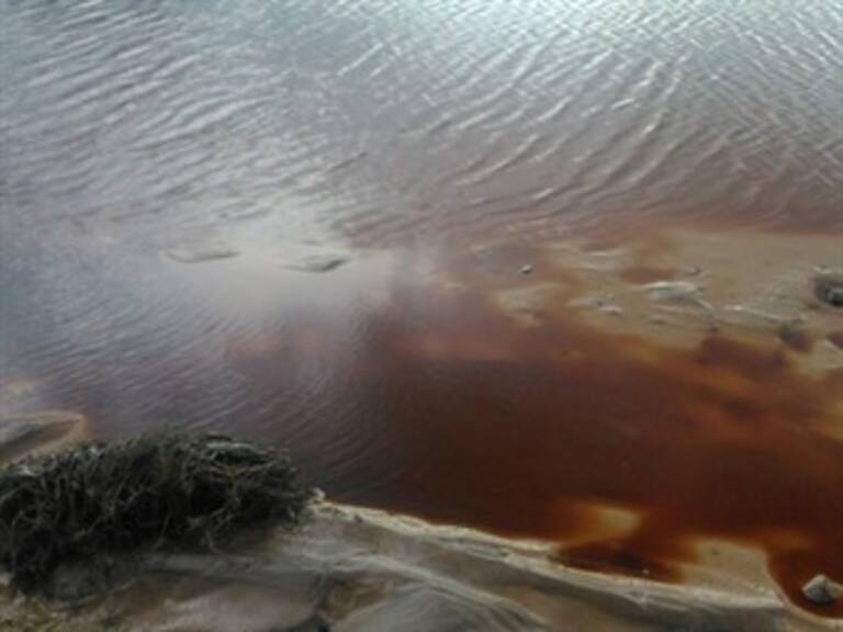 Piden Diputados retirar concesión a minera de Sonora