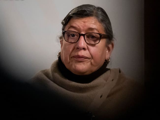 Renuncia Comisionada Nacional de Búsqueda, Teresa Guadalupe Reyes