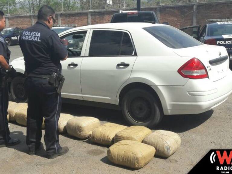 Incautan más de 150 kilos de marihuana en Jalisco