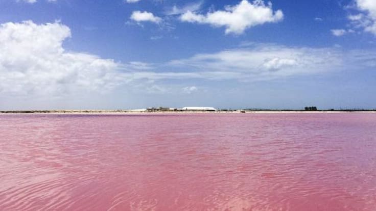 El misterio detrás del único lago rosa en México