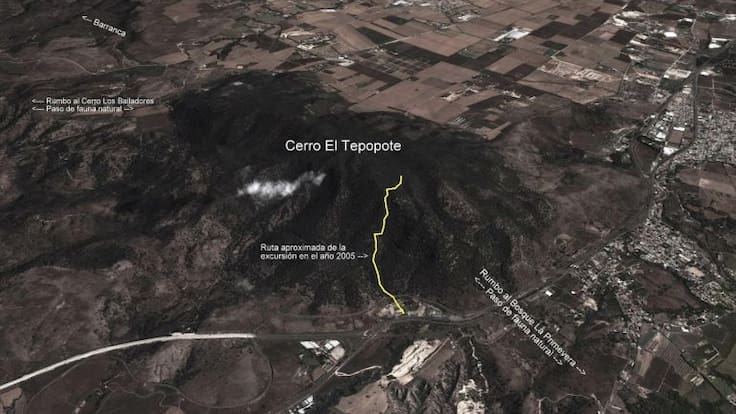 Fuego en Tepopote pudo haber sido provocado para cambio de uso de suelo