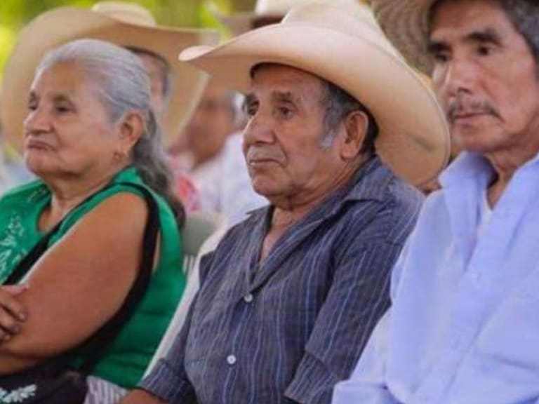 Jalisco sin estudio sobre situación de adultos mayores