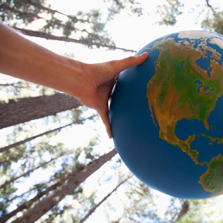 Día de la Tierra: ¿Por qué se celebra hoy y qué significa para este 2026?
