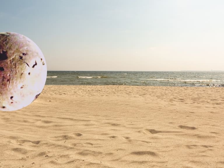 Esto era la misteriosa bola gigante hallada en playa de Japón |VIDEO