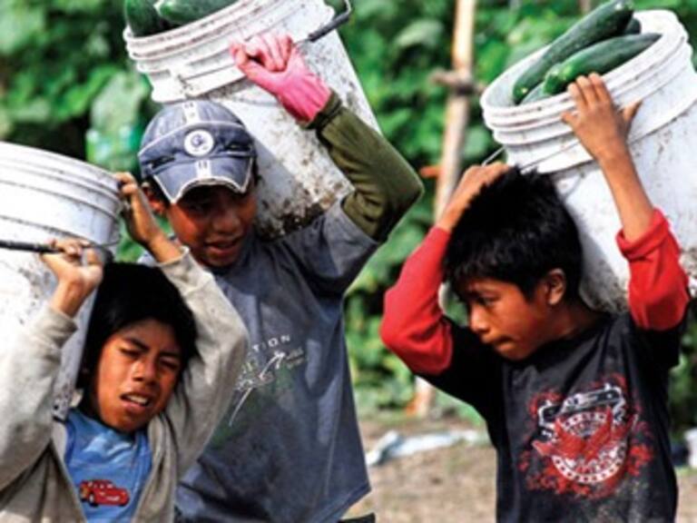 Ocupa Guerrero segundo lugar en ocupación infantil