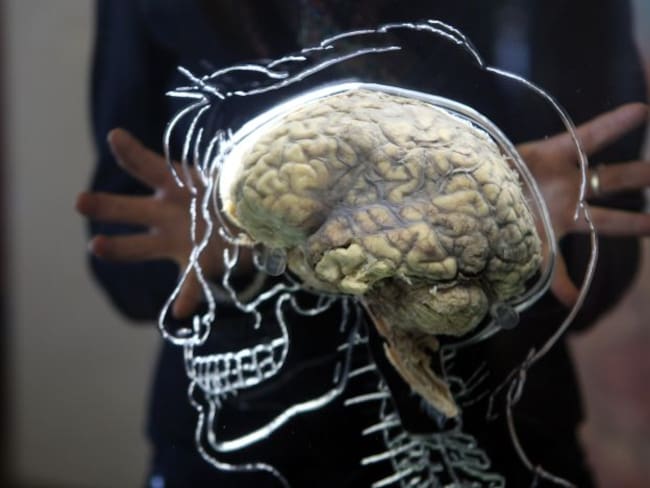 Neurofeedback: ¿Se puede entrenar al cerebro?