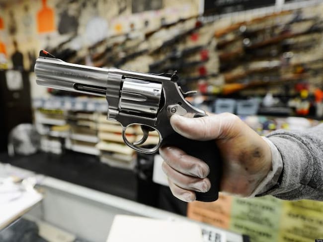 Senadores y expertos debaten iniciativa para portar armas