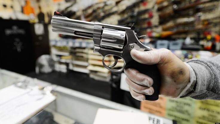 Senadores y expertos debaten iniciativa para portar armas