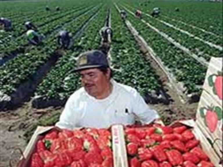 Atiende SRE a 23 mil mexicanos en Arizona