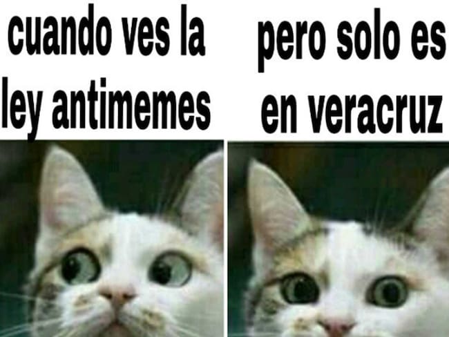 Pospone Cámara de Diputados discusión de “ley antimemes” de forma indefinida