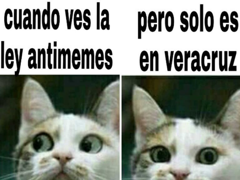 Pospone Cámara de Diputados discusión de “ley antimemes” de forma indefinida