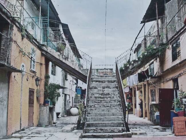 Vecindades como ratas: la naturaleza de la supervivencia | Días Extraños