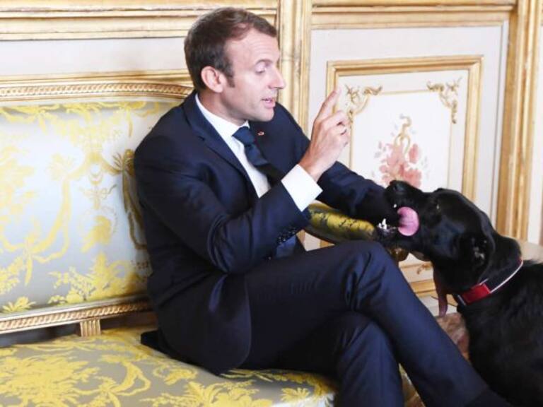 El perro de Emmanuel Macron se orinó en plena reunión