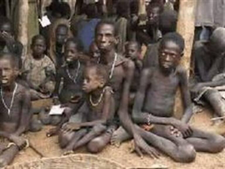 200 millones de hambrientos más en el mundo: ONU