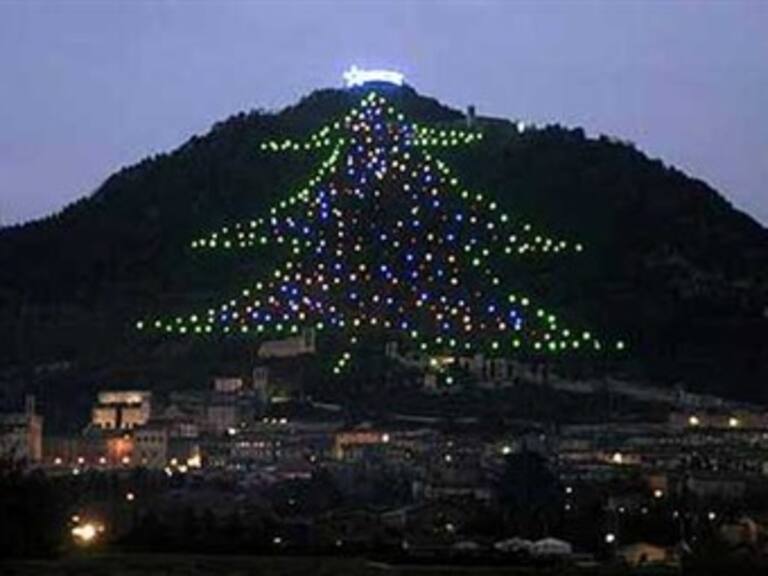 Recibe el Papa árbol de Navidad gigante del Vaticano