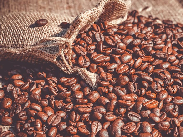 ¿Por qué el café mexicano podría enfrentar una de sus peores crisis?