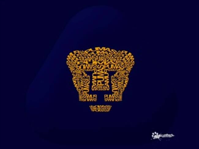 Pumas y Chivas se juegan su boleto a la liguilla del Clausura 2014