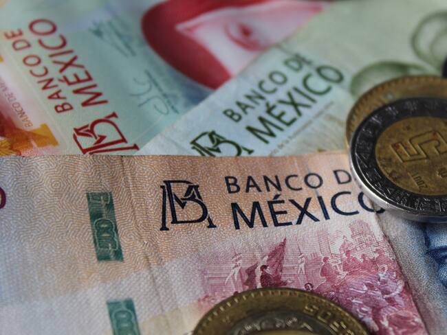 Apoyo de Desempleo para el Bienestar en Edomex: Fecha del último día para registrarse al programa en agosto 2025