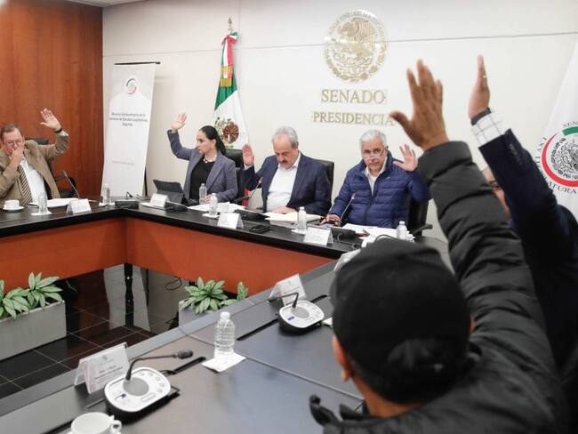 Avanza Plan B, en segunda comisión del Senado