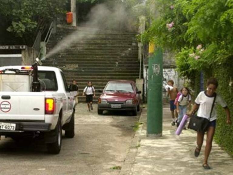 Aumentan muertes por dengue en Brasil