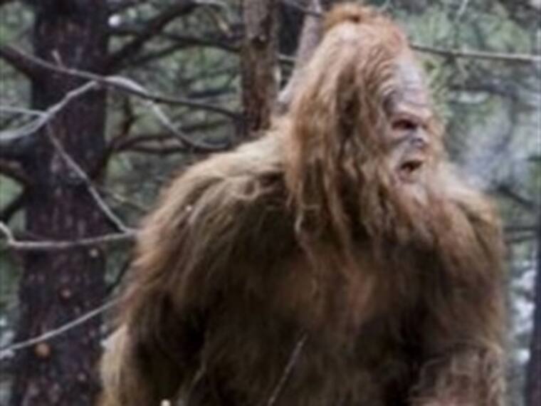 Historias perdídas. Pie Grande, parte III