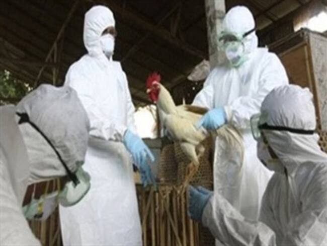 Advierte Profeco que no se permitirán abusos en venta de huevo y pollo