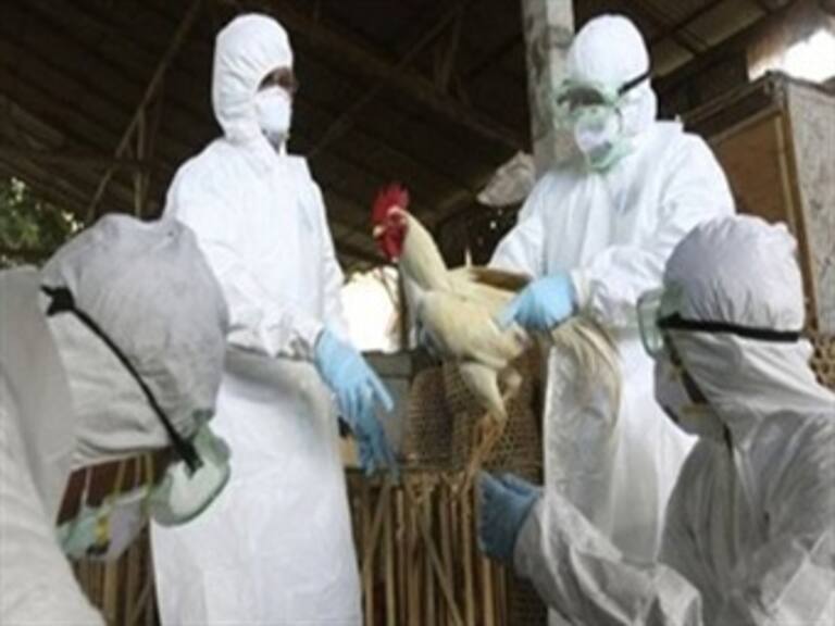 Advierte Profeco que no se permitirán abusos en venta de huevo y pollo