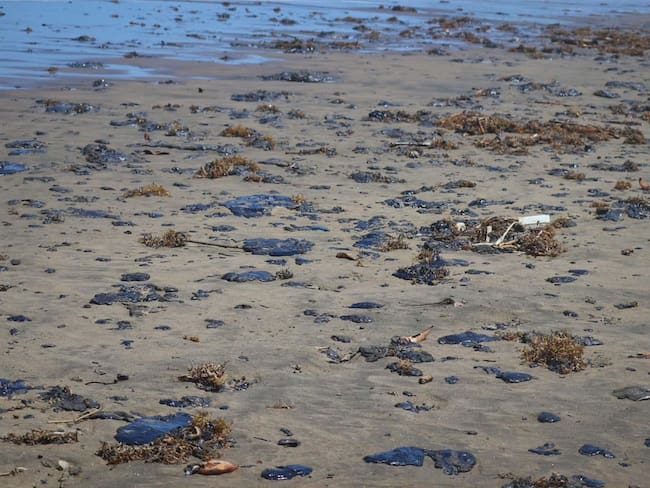 Derrame Golfo de México: Greenpeace acusa opacidad y reacción tardía del gobierno