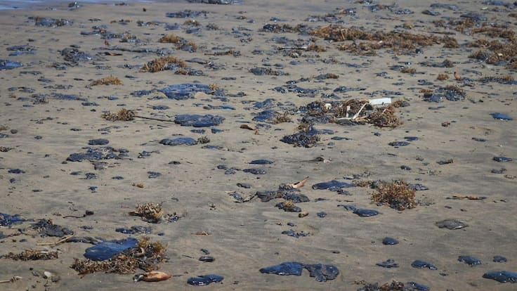 Derrame Golfo de México: Greenpeace acusa opacidad y reacción tardía del gobierno