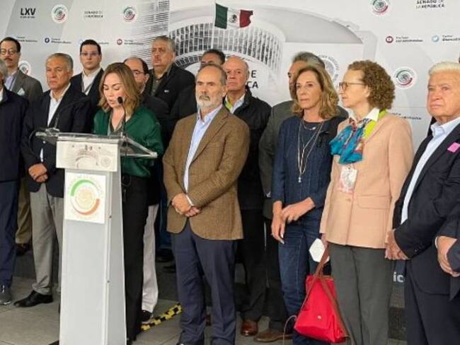 “No se doblen”, piden ONGs a senadores de oposición