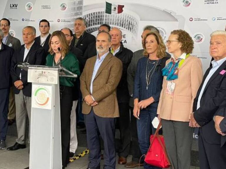 “No se doblen”, piden ONGs a senadores de oposición