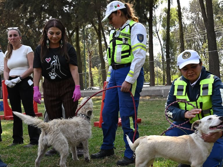 Brugada Molina, jefa de gobierno de la Ciudad de México, realizó un recorrido por las instalaciones de la Brigada de Protección Animal