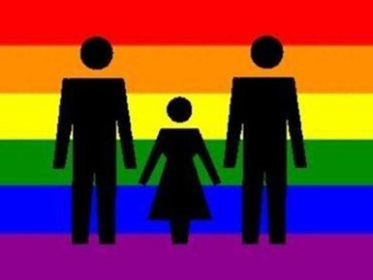 Válidas, adopciones gay: Corte