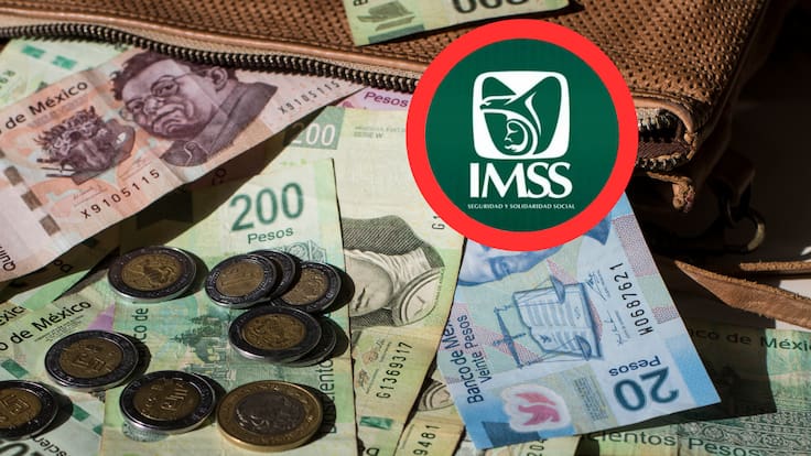 Pensión IMSS 2026: ¿Cuándo cae el primer pago del año para los derechohabientes? Estos son todos los detalles