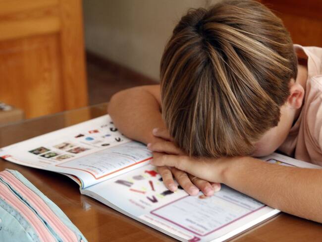 La deficiencia de hierro limita el rendimiento en la escuela