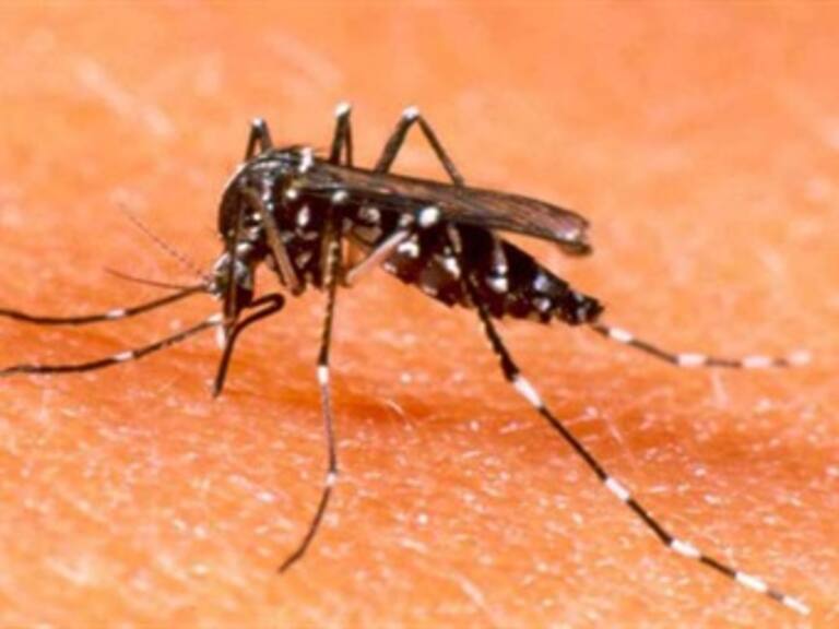 Este lunes se conmemora el Día Mundial de la Salud