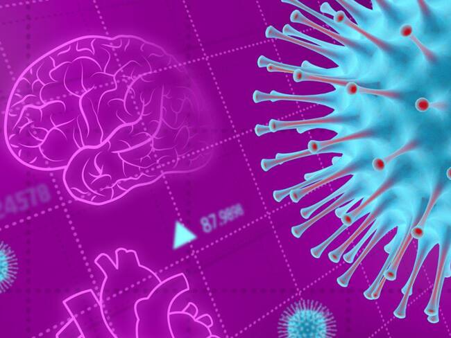 El cerebro y los efectos post COVID