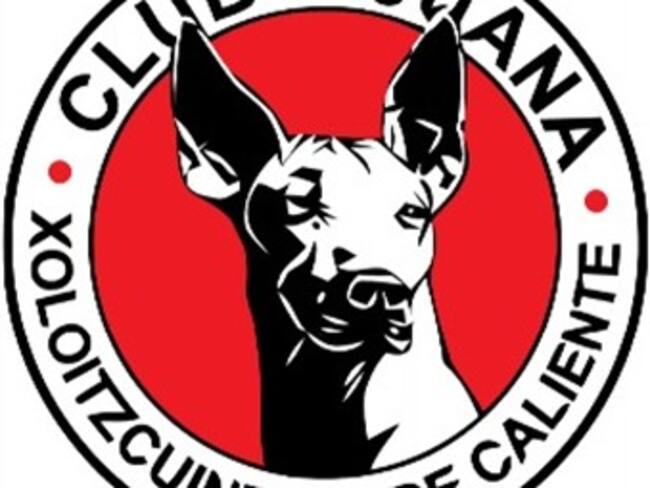 Precisa 'Xolos' que Hank Rhon no es el presidente del club