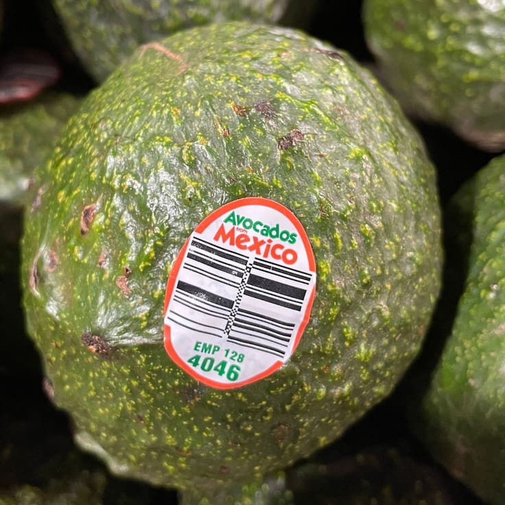 Aguacate mexicano: ¿Por qué EE.UU. frenó las exportaciones desde México?