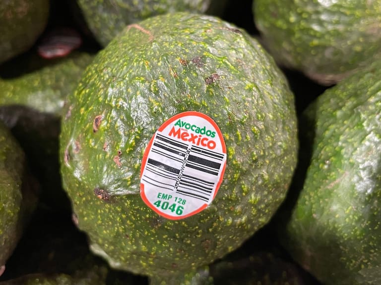 EE.UU. frena exportaciones de aguacate mexicano: esta es la razón de la suspensión en 2026. Getty Images