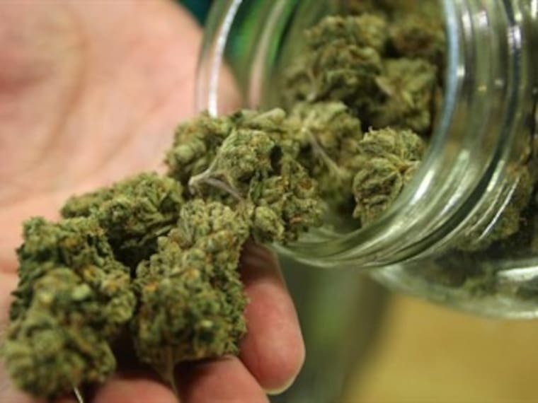 ¿La cannabis representa un peligro de dependencia en adultos jóvenes?