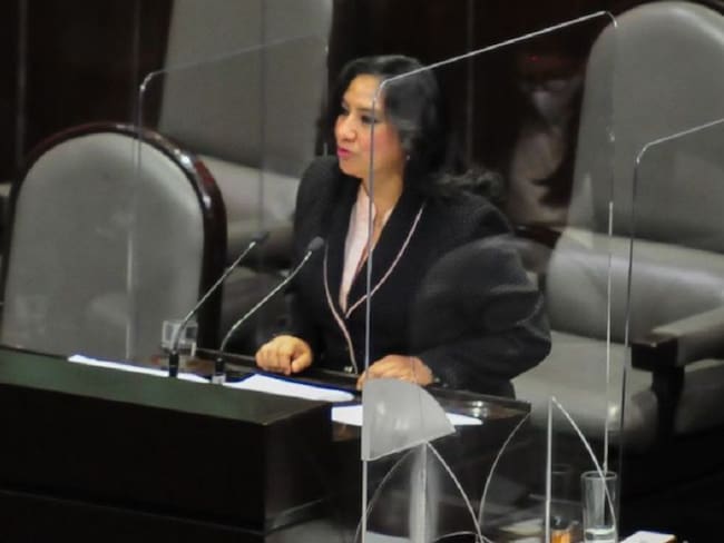 Diputados del PAN exigen la renuncia de la titular de la SFP, Irma Eréndira