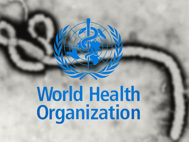 Organización Mundial de la Salud declara emergencia sanitaria mundial por brote de ébola en África