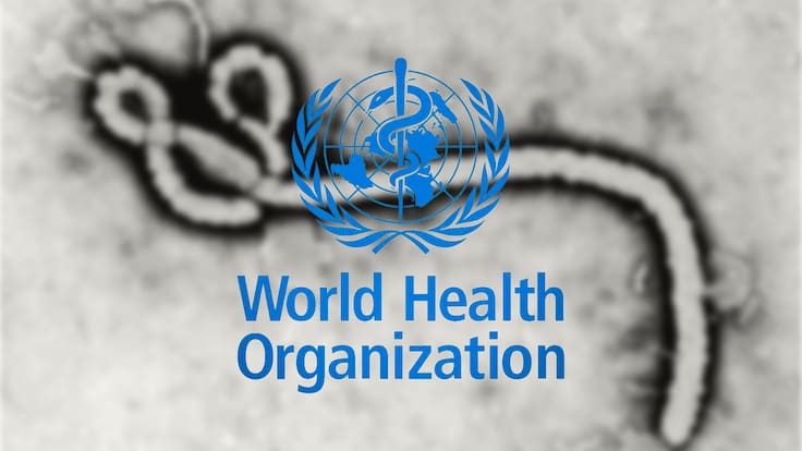 Organización Mundial de la Salud declara emergencia sanitaria mundial por brote de ébola en África